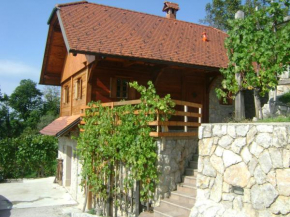 Vineyard cottage Zidanca med vinogradi